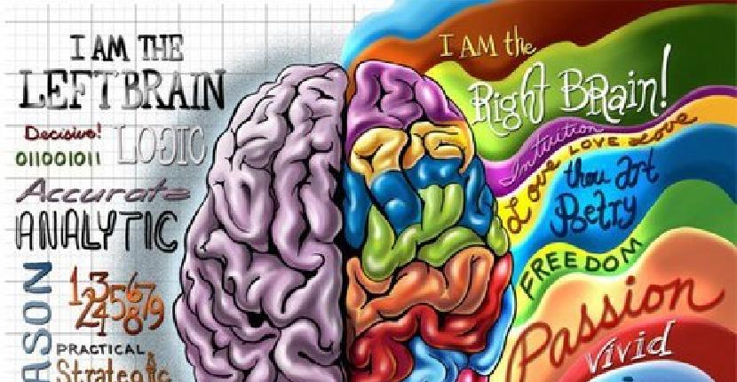Brain 81. Знак два полушария мозга. Знак два полушария мозга под алкоголем одно. Знак одно полушарие мозга под алкоголем.