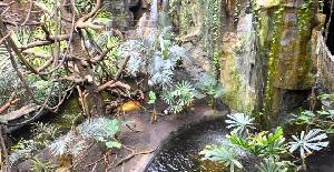 Lied jungle. La selva tropical artificial más grande del mundo